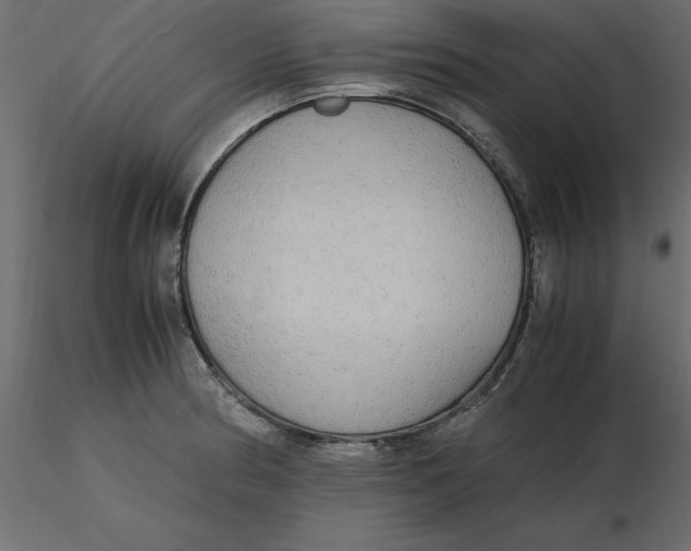 X0000116581186200912312008