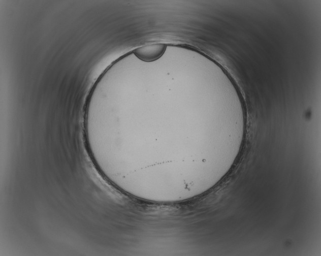 X0000116581187200912312008