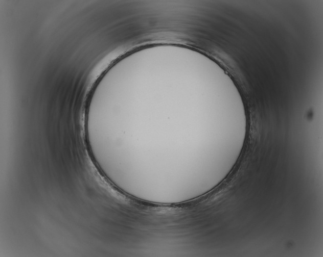 X0000116581188200912312008