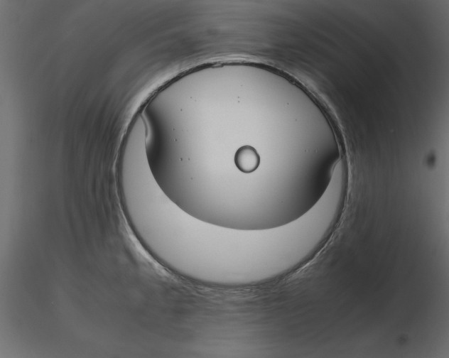 X0000116581189200912312008