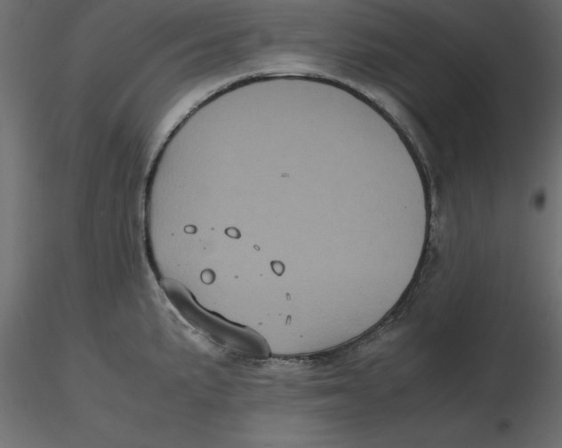 X0000116581191200912312008