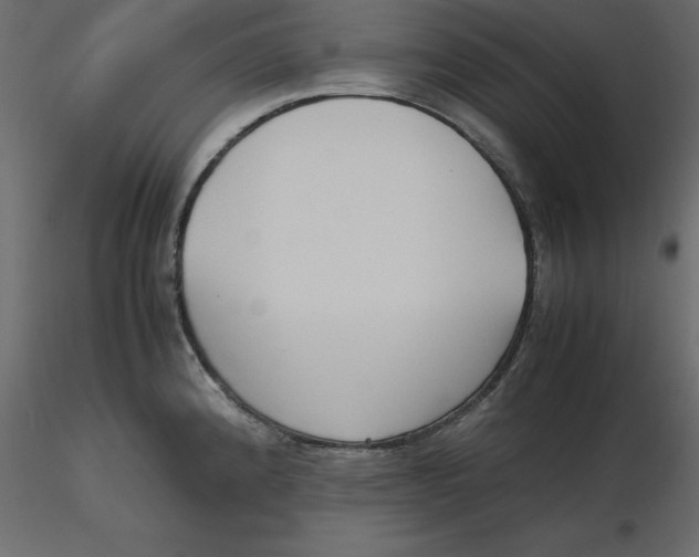 X0000116581192200912312008