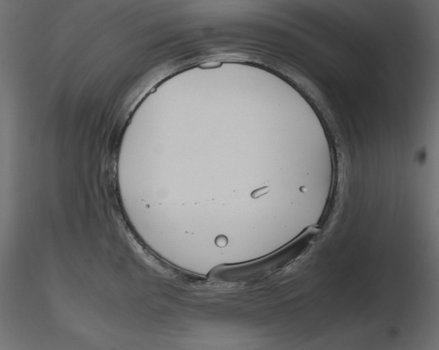 X0000116581193200912312008