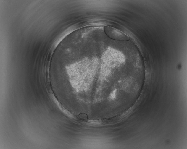 X0000116581194200912312008