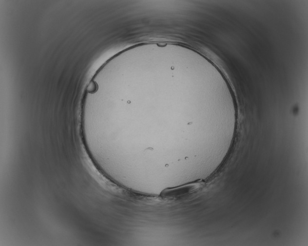 X0000116581195200912312008