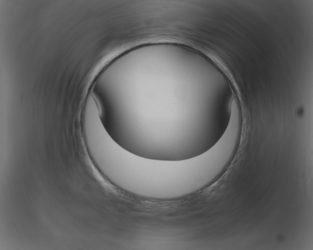 X0000116581197200912312008