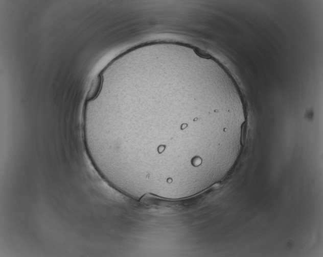 X0000116581199200912312008