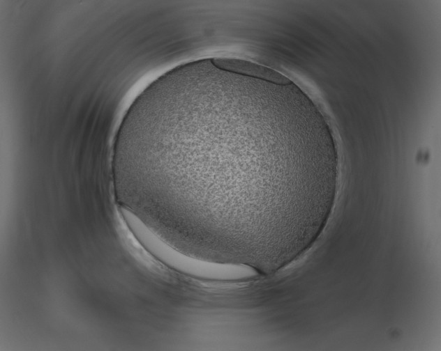 X0000116581200200912312008