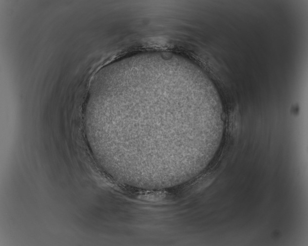 X0000116581201200912312007