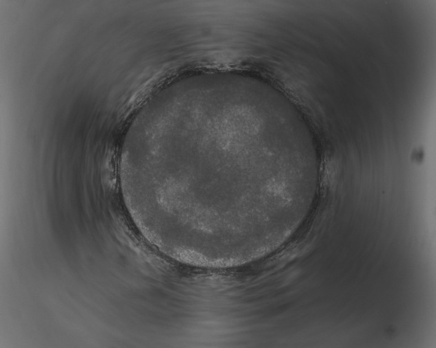 X0000116581202200912312007