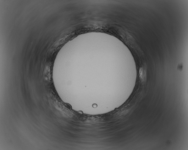 X0000116581203200912312007