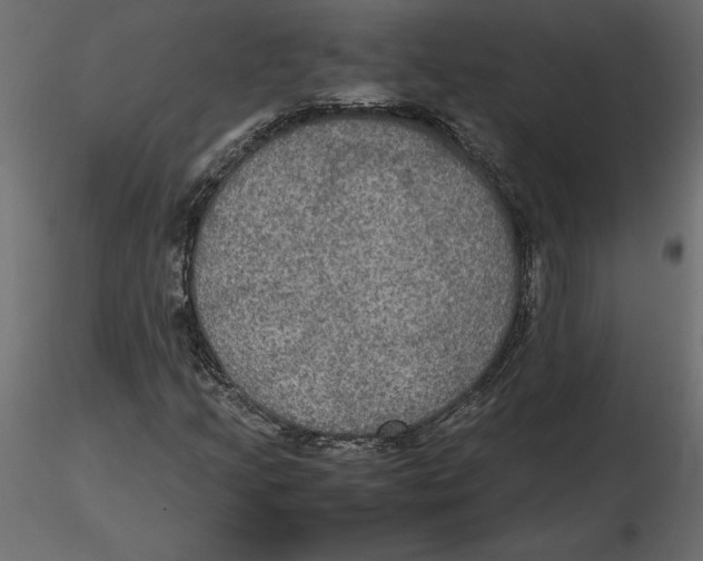 X0000116581205200912312007