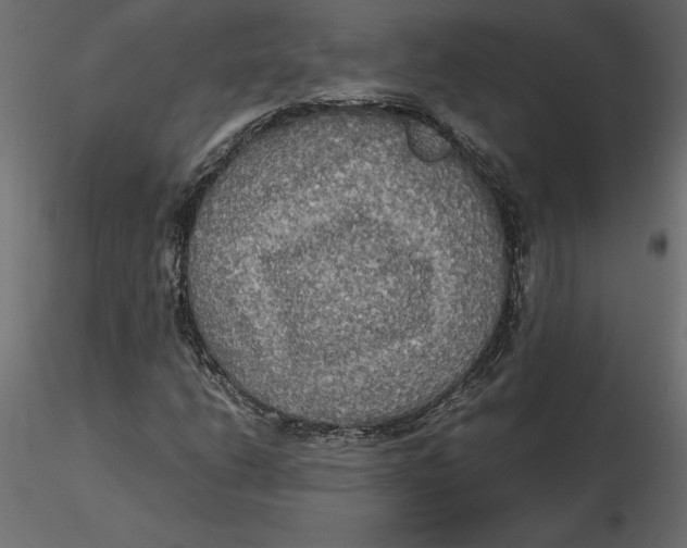 X0000116581206200912312007