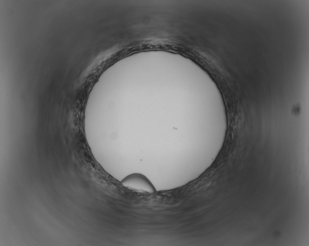 X0000116581207200912312007