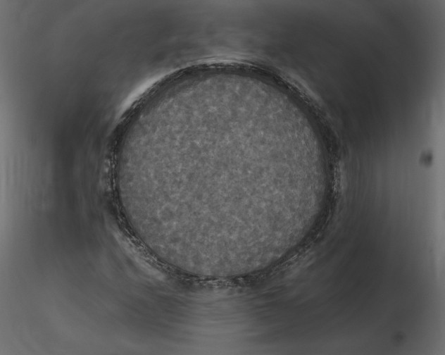 X0000116581208200912312007