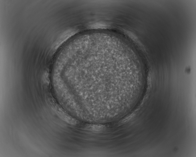 X0000116581209200912312007