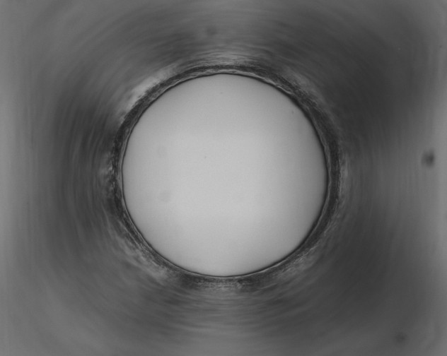 X0000116581210200912312007