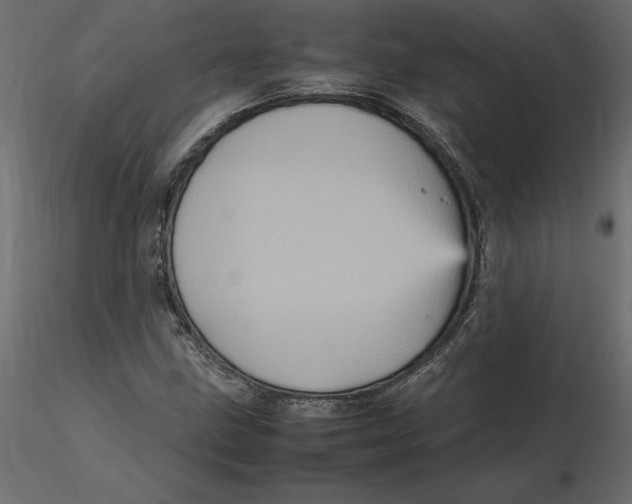 X0000116581211200912312007