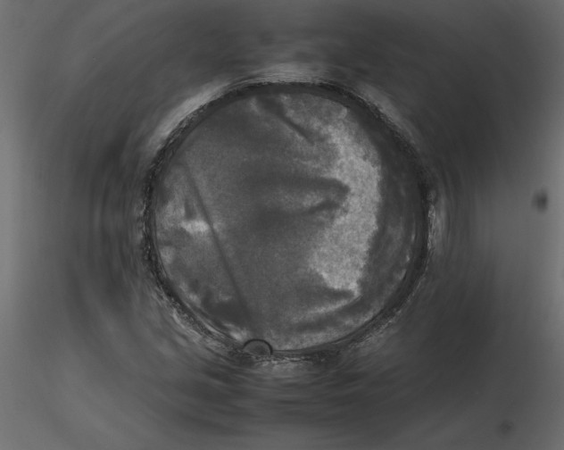 X0000116581213200912312007