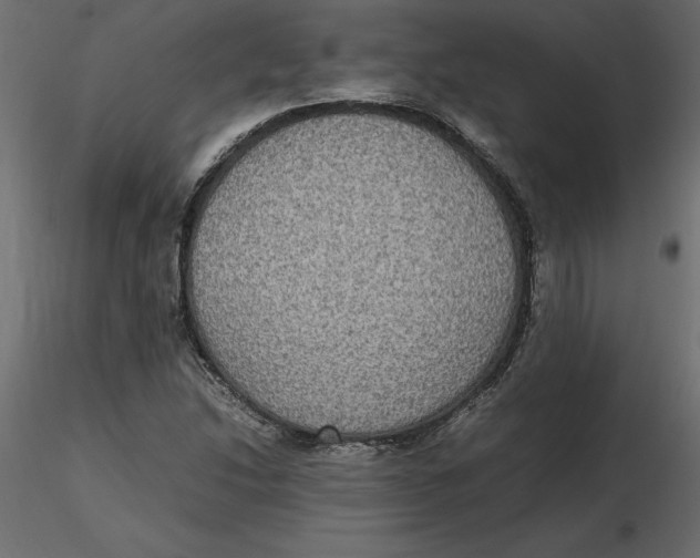 X0000116581214200912312007