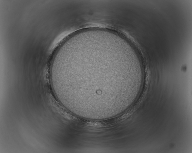 X0000116581215200912312007