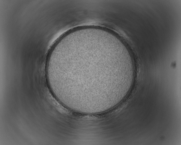 X0000116581216200912312007