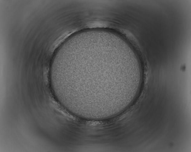 X0000116581217200912312007