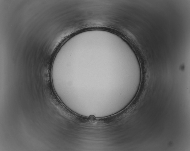 X0000116581218200912312007