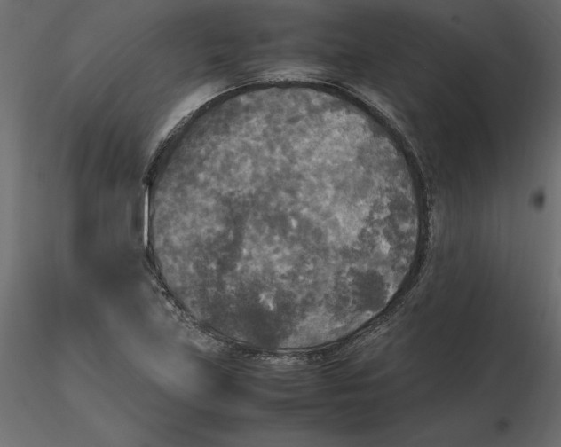 X0000116581219200912312007