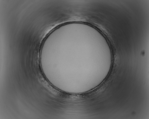 X0000116581220200912312007