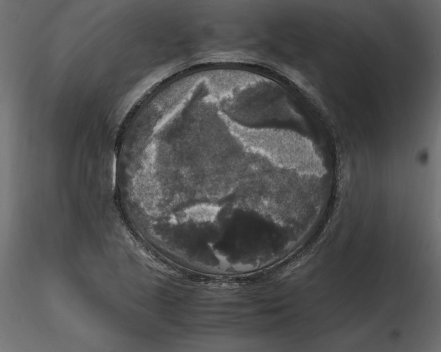 X0000116581221200912312007