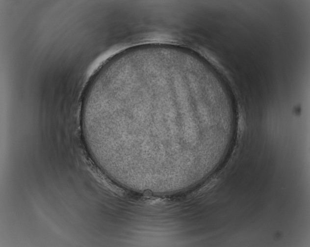 X0000116581222200912312007