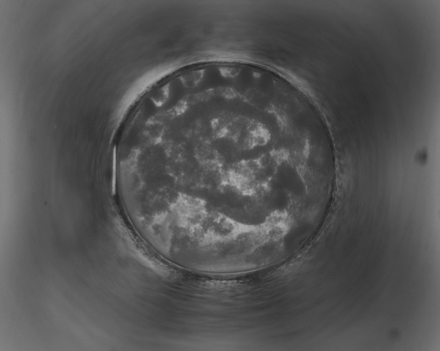 X0000116581223200912312007