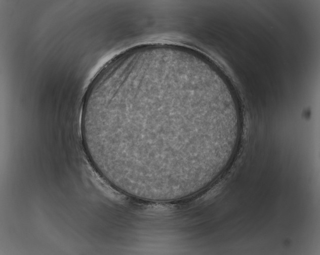 X0000116581224200912312007