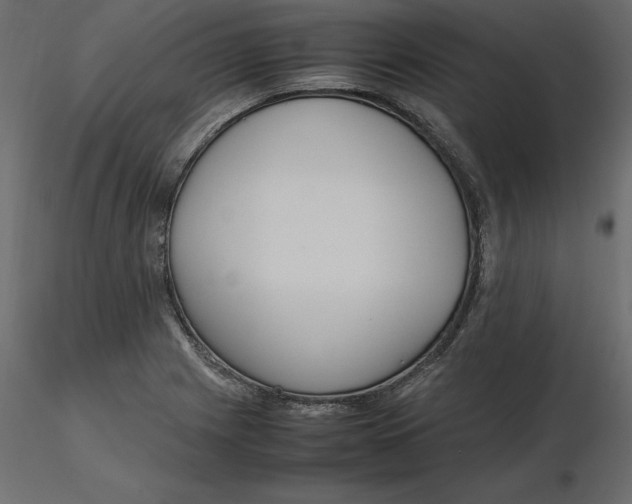 X0000116581225200912312007