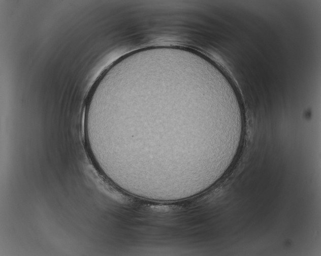 X0000116581227200912312007