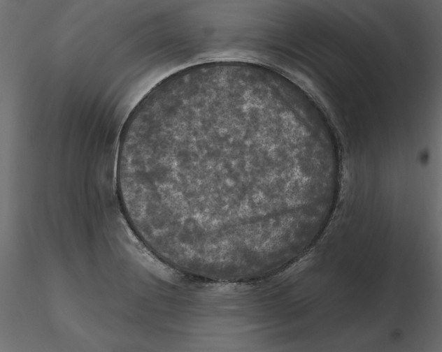 X0000116581228200912312007