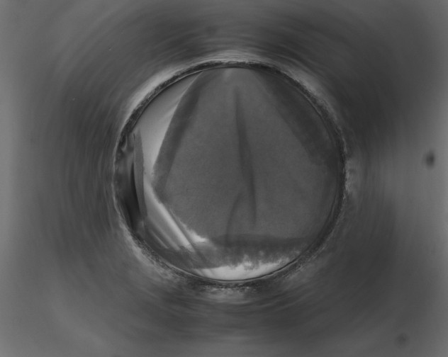 X0000116581229200912312007