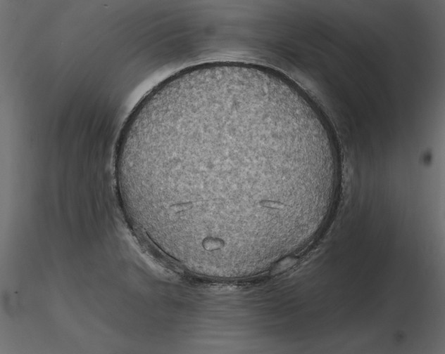 X0000116581230200912312007