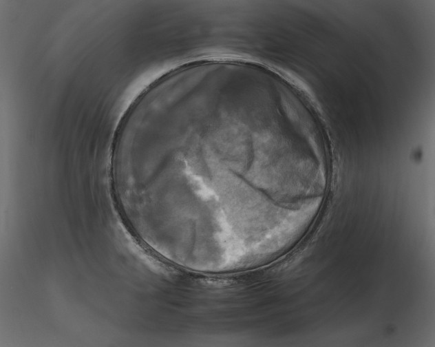 X0000116581231200912312007