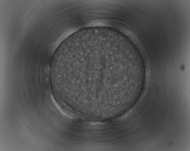 X0000116581233200912312007