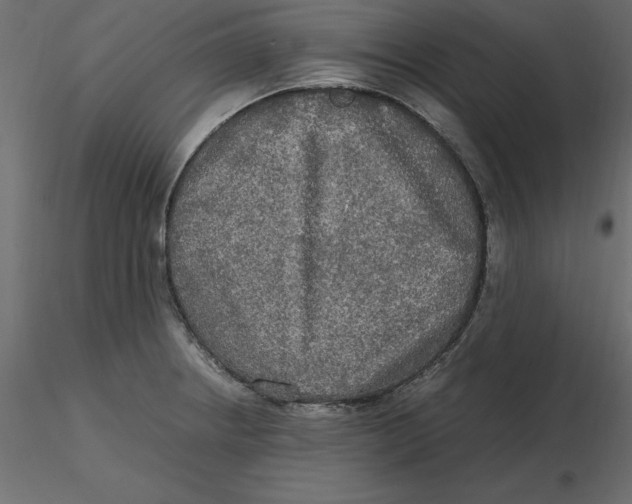 X0000116581234200912312007