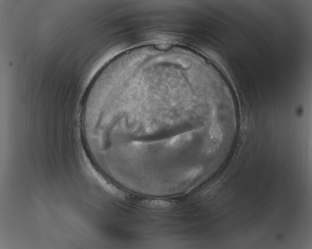 X0000116581235200912312007