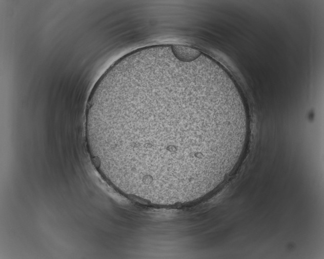 X0000116581236200912312007