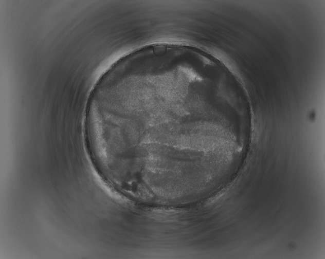 X0000116581237200912312007