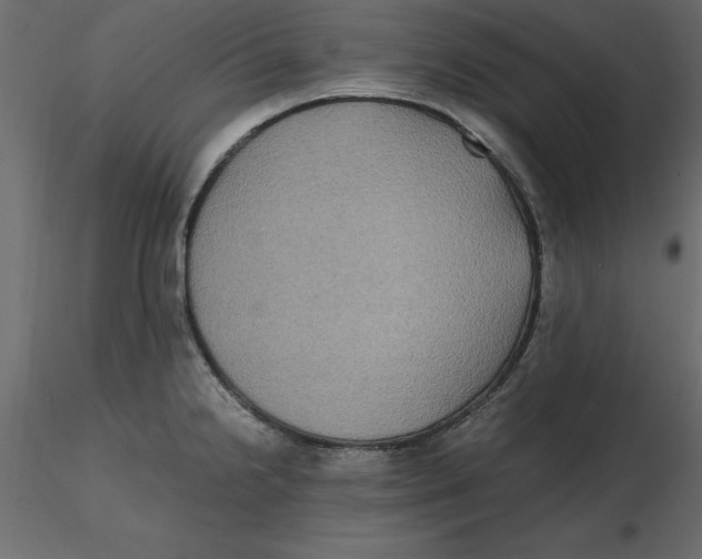 X0000116581238200912312007