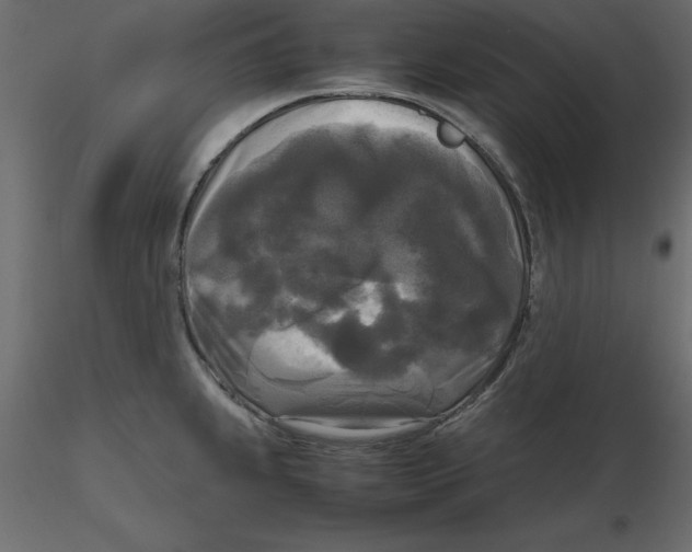 X0000116581239200912312007