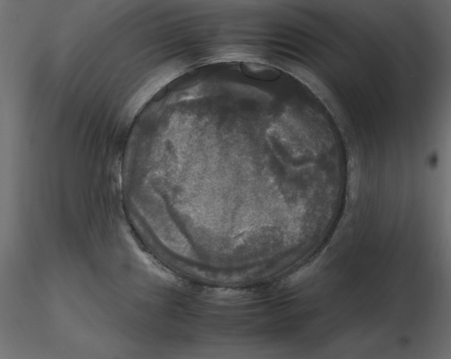 X0000116581241200912312008