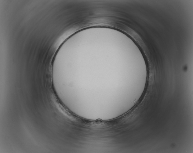 X0000116581242200912312008