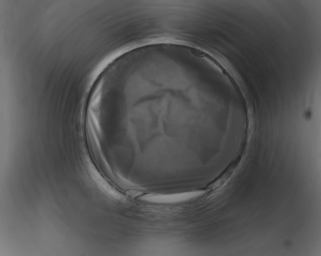 X0000116581246200912312008